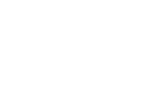EVIDENS